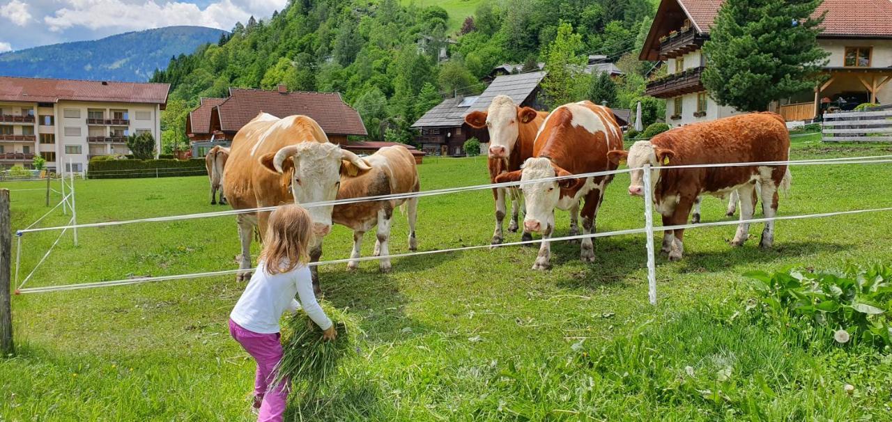 Ferienhaus Michael Bad Kleinkirchheim Buitenkant foto